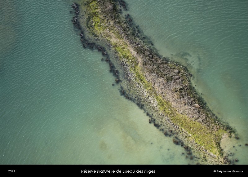 ile de ré