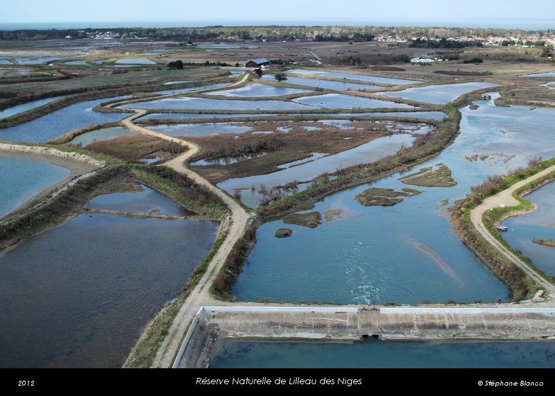 ile de ré