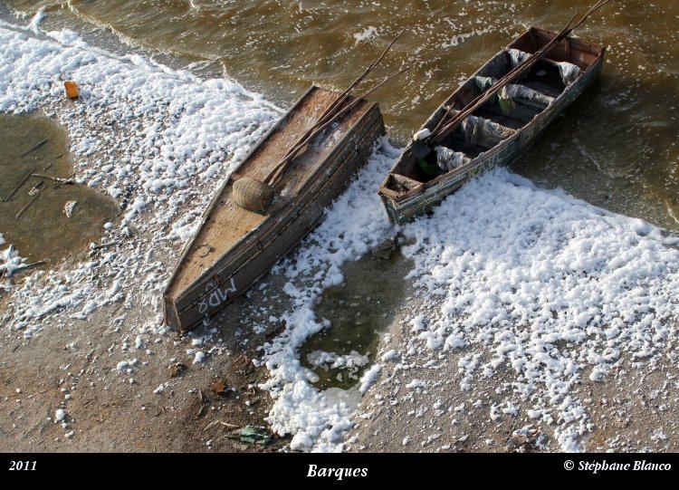 senegal